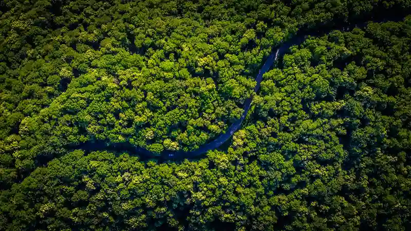 Imagen medio ambiente 11