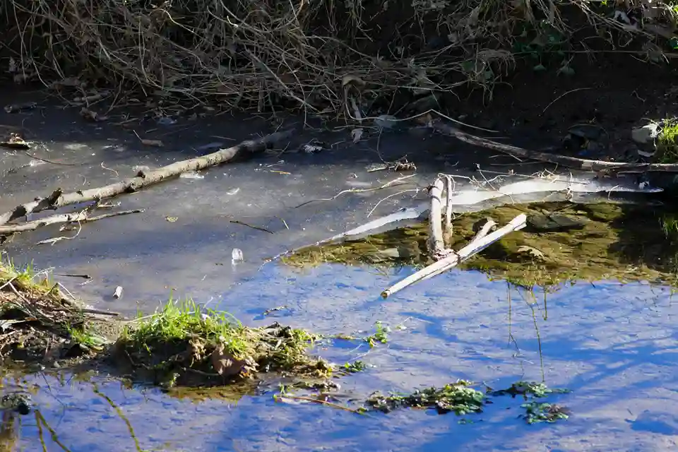 Imagen medio ambiente 12