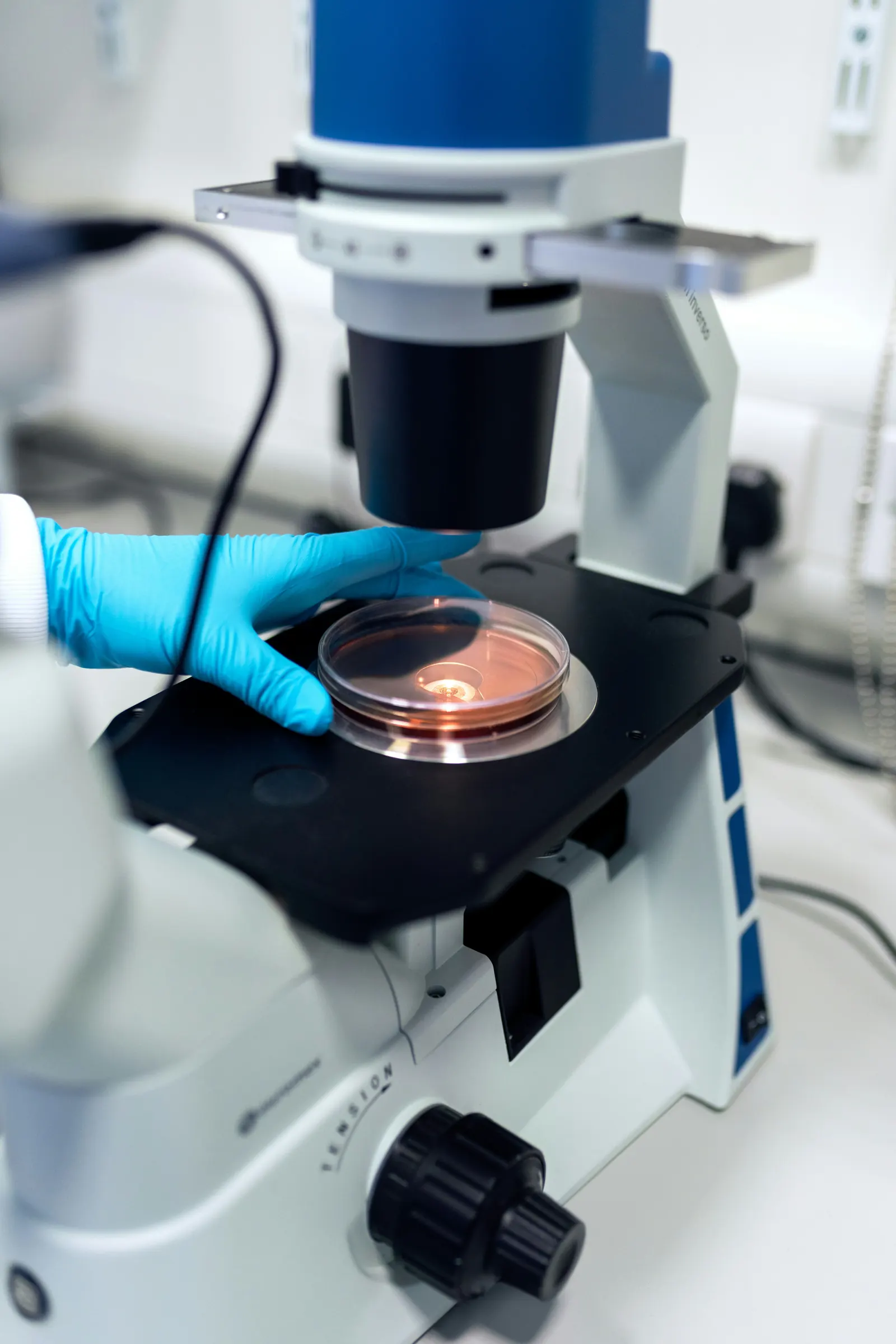 Capacitación en microbiología aplicada en laboratorio